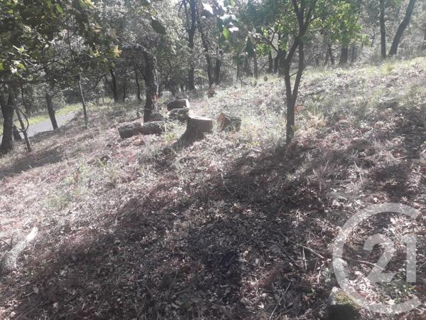 Terrain à vendre  4700 m2 MONTESQUIEU DES ALBERES - 66
