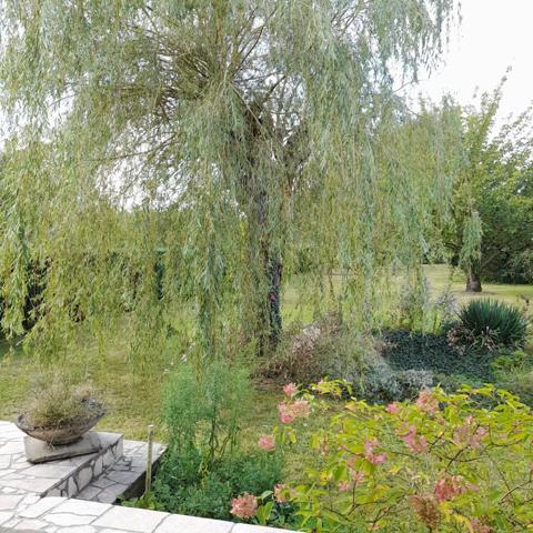 Possibilité de créer un plein pied / produit de qualité