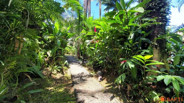 Charmants gîtes nichés au coeur de la Forêt Tropicale!