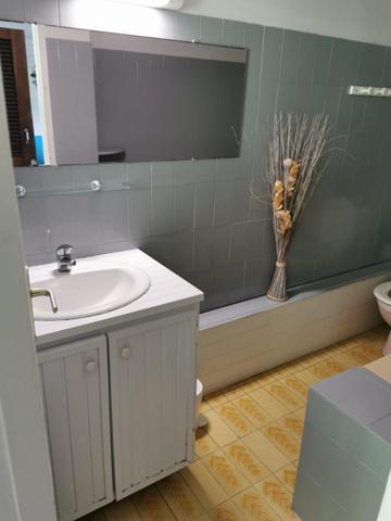 Charmants gîtes nichés au coeur de la Forêt Tropicale!