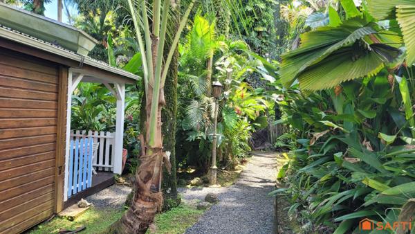 Charmants gîtes nichés au coeur de la Forêt Tropicale!