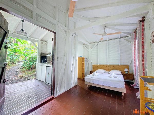 Charmants gîtes nichés au coeur de la Forêt Tropicale!