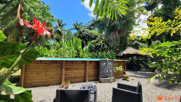 Charmants gîtes nichés au coeur de la Forêt Tropicale!