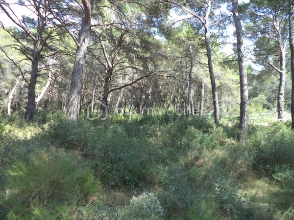 Terrain de loisirs de 4 644 m²