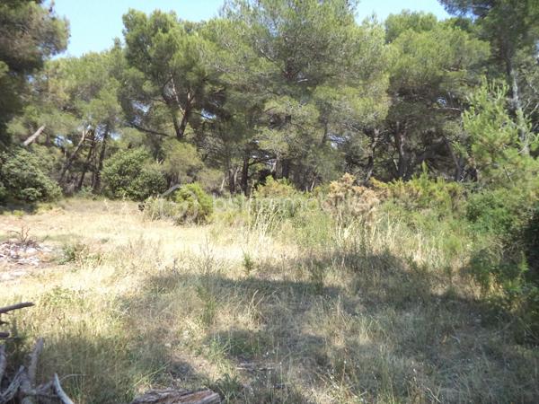 Terrain de loisirs de 4 644 m²