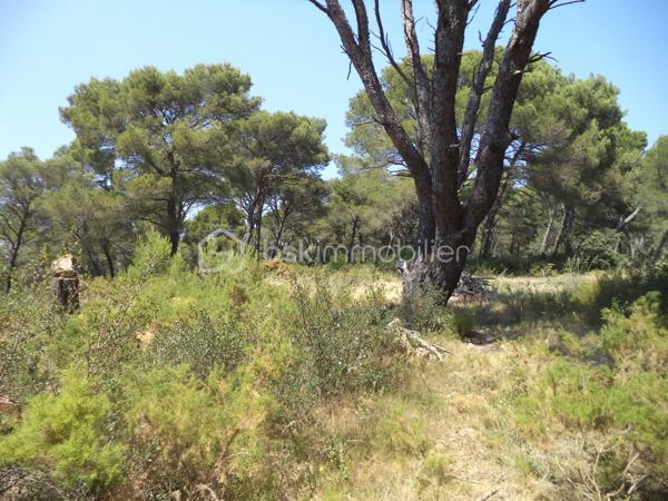 Terrain de loisirs de 4 644 m²