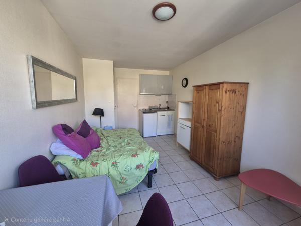 Studio 1 pièce(s) 17.39 m²