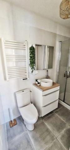 Dpt Aude (11), à vendre CARCASSONNE Immeuble de rapport de 118m244 Appartements : deux T2; deux T1bis