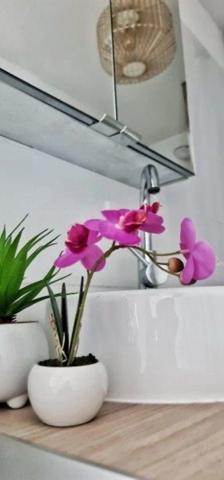 Dpt Aude (11), à vendre CARCASSONNE Immeuble de rapport de 118m244 Appartements : deux T2; deux T1bis