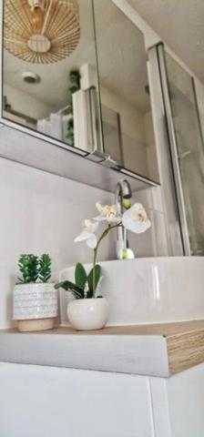 Dpt Aude (11), à vendre CARCASSONNE Immeuble de rapport de 118m244 Appartements : deux T2; deux T1bis