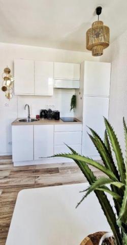 Dpt Aude (11), à vendre CARCASSONNE Immeuble de rapport de 118m244 Appartements : deux T2; deux T1bis