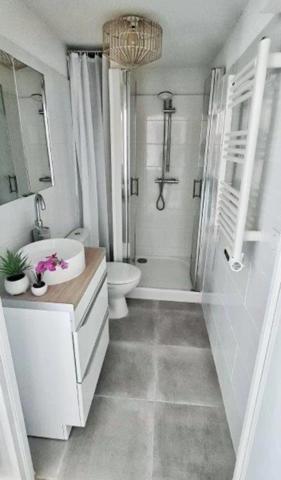 Dpt Aude (11), à vendre CARCASSONNE Immeuble de rapport de 118m244 Appartements : deux T2; deux T1bis