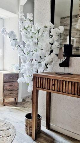 Dpt Aude (11), à vendre CARCASSONNE Immeuble de rapport de 118m244 Appartements : deux T2; deux T1bis