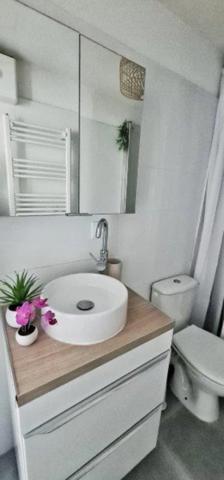 Dpt Aude (11), à vendre CARCASSONNE Immeuble de rapport de 118m244 Appartements : deux T2; deux T1bis