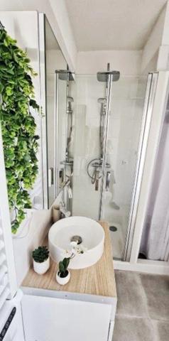 Dpt Aude (11), à vendre CARCASSONNE Immeuble de rapport de 118m244 Appartements : deux T2; deux T1bis