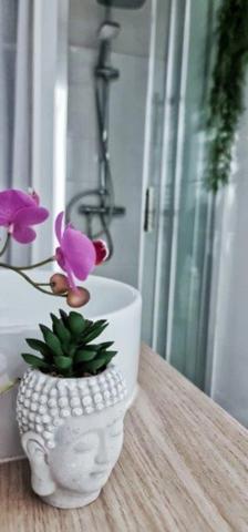 Dpt Aude (11), à vendre CARCASSONNE Immeuble de rapport de 118m244 Appartements : deux T2; deux T1bis