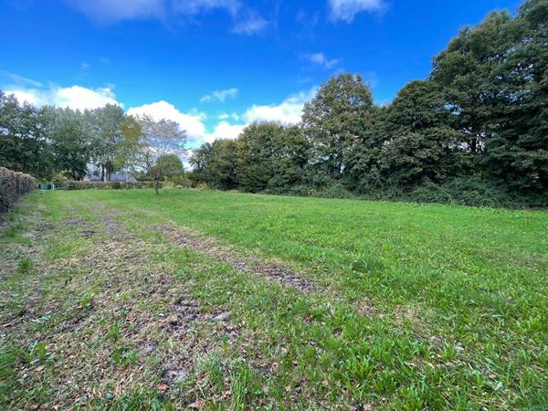 Terrain constructible à Blaison Saint Sulpice d'une superficie de 984m2 à seulement 25 minutes d'Angers de 8 minutes de Brissac-Quincé