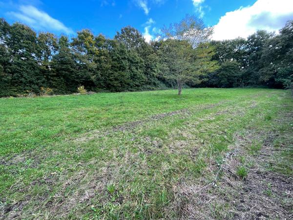 Terrain constructible à Blaison Saint Sulpice d'une superficie de 984m2 à seulement 25 minutes d'Angers de 8 minutes de Brissac-Quincé