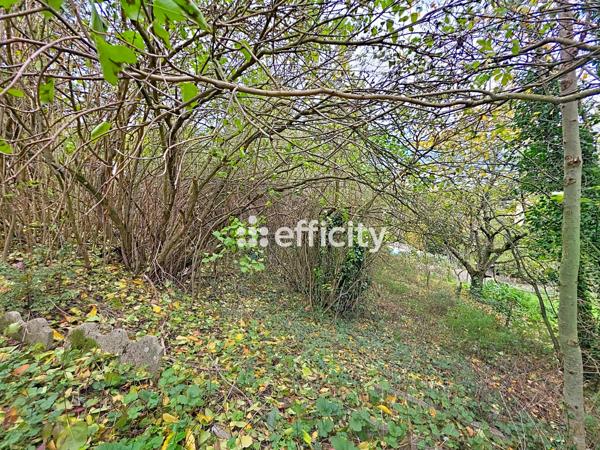 Maison 5 pièces - 98 m² Exclusivité efficity