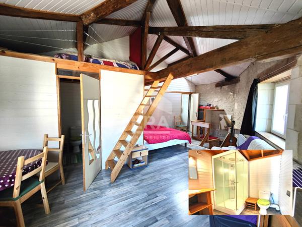 A vendre maison Cognac 9 pièce(s) 226 m2