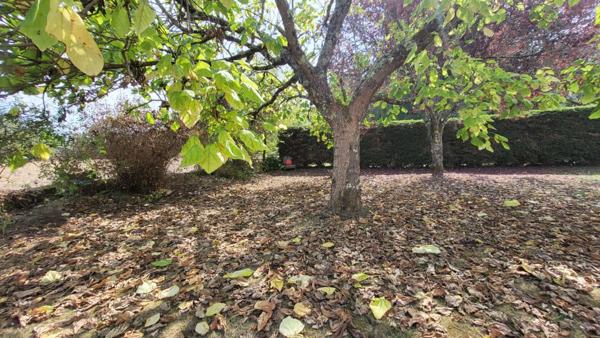 Proche Neuvic  Maison  en pierres rénovée de 175 m² 5 chambres et  dépendances sur parcelle 2800 m2