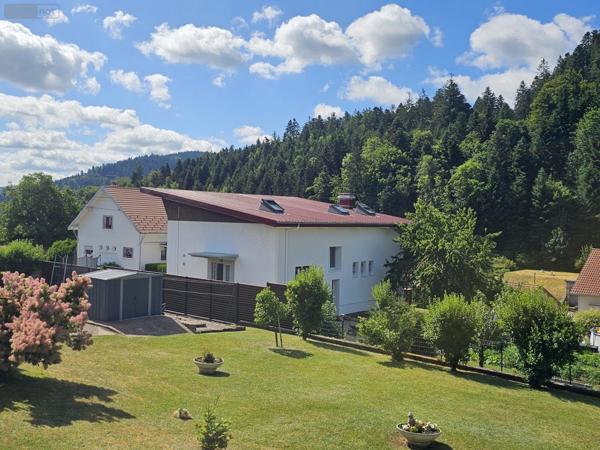 Maison individuelle à vendre à Remiremont dans les Vosges (88200), ref : 1200/0725-88038