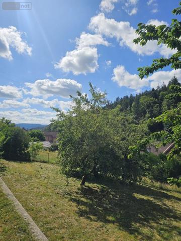 Maison individuelle à vendre à Remiremont dans les Vosges (88200), ref : 1200/0725-88038