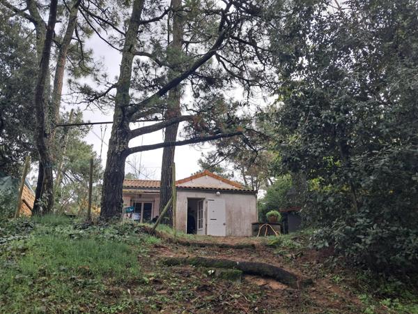 Charmante maison au bord de l'océan