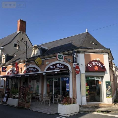Local mixte (Pro/Hab) à vendre à Le Lude dans la Sarthe (72800), ref : 13861/1553
