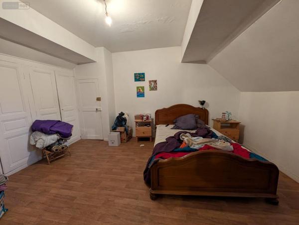 Local mixte (Pro/Hab) à vendre à Le Lude dans la Sarthe (72800), ref : 13861/1553