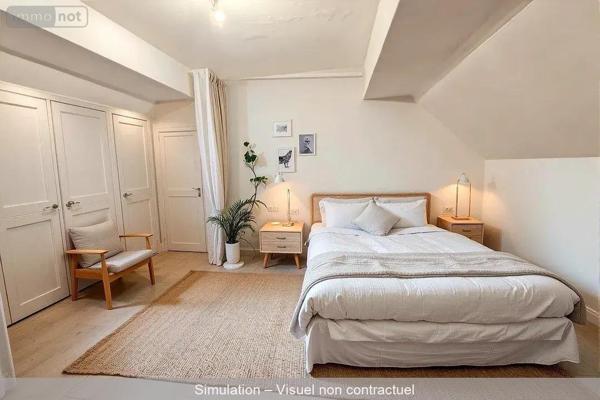 Local mixte (Pro/Hab) à vendre à Le Lude dans la Sarthe (72800), ref : 13861/1553