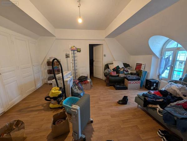 Local mixte (Pro/Hab) à vendre à Le Lude dans la Sarthe (72800), ref : 13861/1553