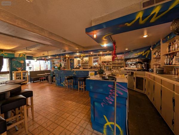 Local mixte (Pro/Hab) à vendre à Le Lude dans la Sarthe (72800), ref : 13861/1553