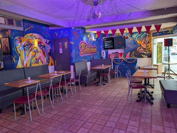 Local mixte (Pro/Hab) à vendre à Le Lude dans la Sarthe (72800), ref : 13861/1553