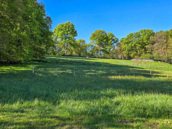 Terrain constructible