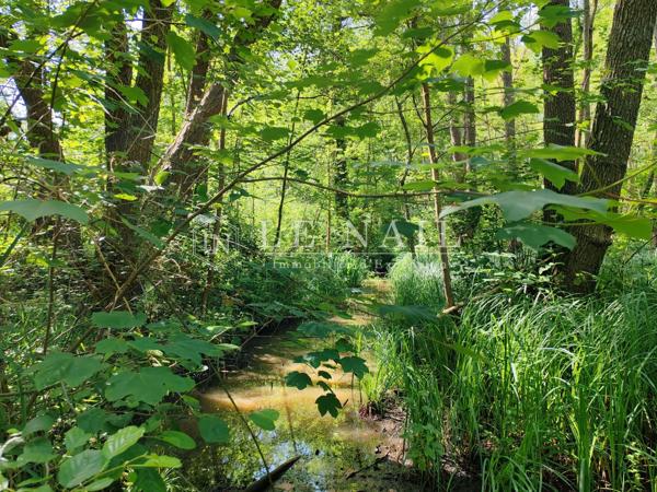 Belle chaumière familiale, proche de Rambouillet