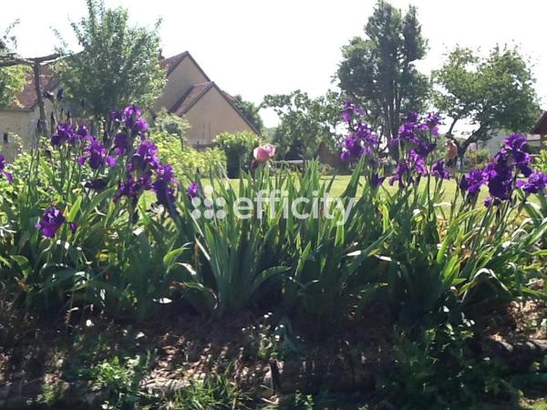 Maison 5 pièces - 121 m²