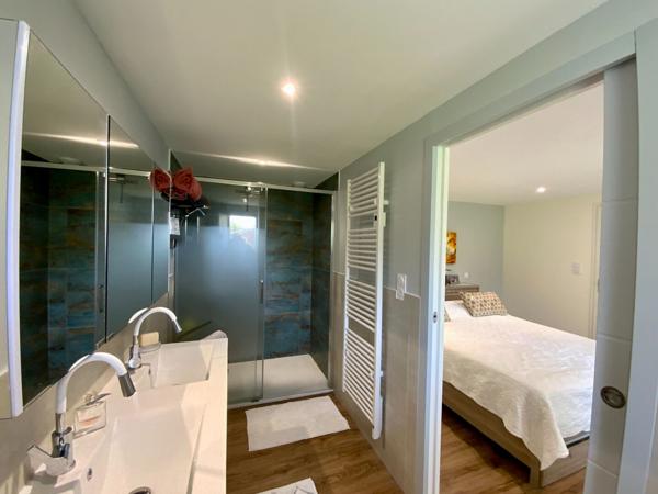 Maison Jonzac 7 pièce(s) 300 m2