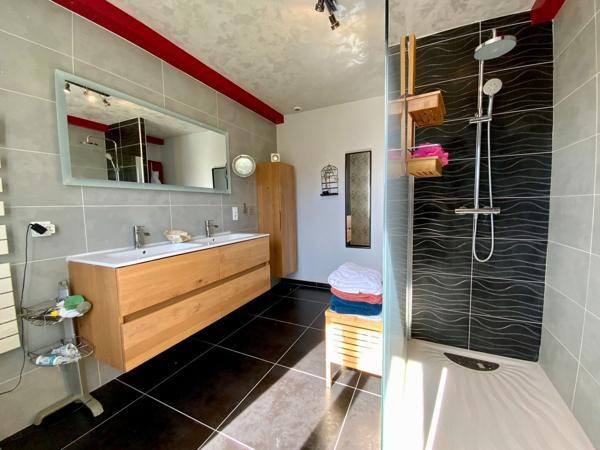 Maison Jonzac 7 pièce(s) 300 m2