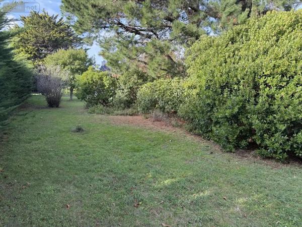 Achat - Terrain à bâtir Arzon 56640 443 m 2
