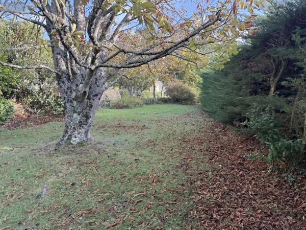 Achat - Terrain à bâtir Arzon 56640 443 m 2