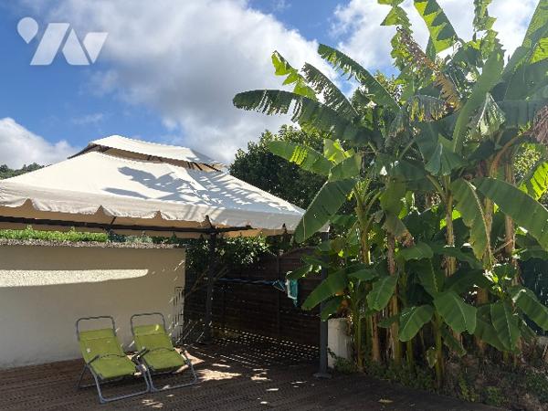 Agréable maison lumineuse, rénovée d'environ 220m², avec garage, jardin arboré clos et piscine !