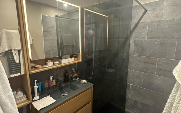 Appartement à louer    2 pièces •  Rumilly