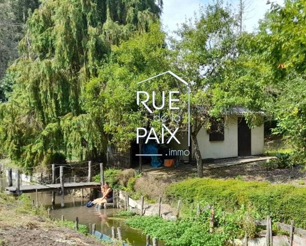 49260 BELLEVIGNE LES CHATEAUX Terrain de loisirs Bellevigne Les Chateaux 20 m2