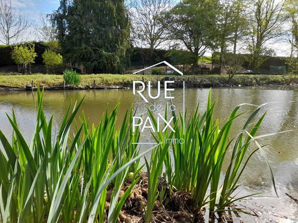 49260 BELLEVIGNE LES CHATEAUX Terrain de loisirs Bellevigne Les Chateaux 20 m2