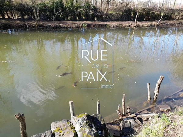 49260 BELLEVIGNE LES CHATEAUX Terrain de loisirs Bellevigne Les Chateaux 20 m2