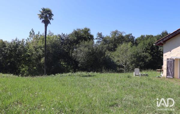 Maison à vendre 10 pièces 377 m² Saint-Martin-de-Hinx