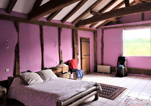 Maison à vendre 10 pièces 377 m² Saint-Martin-de-Hinx