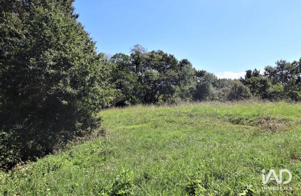 Maison à vendre 10 pièces 377 m² Saint-Martin-de-Hinx