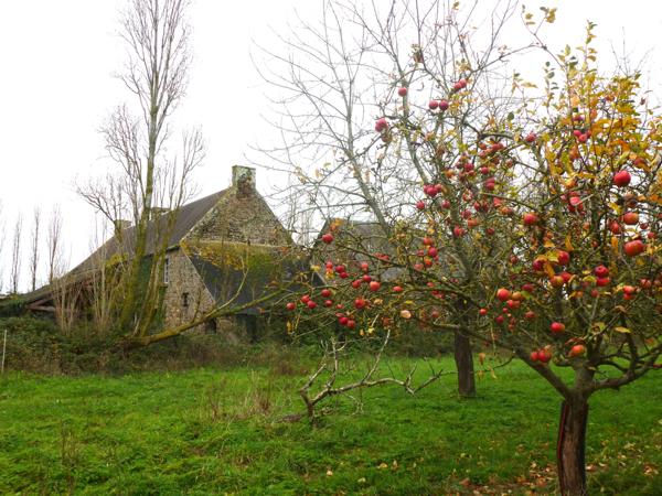 Magnifique longère XIXe siècle à rénover